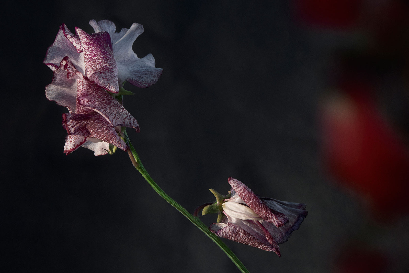 The Subtle Art of Giving