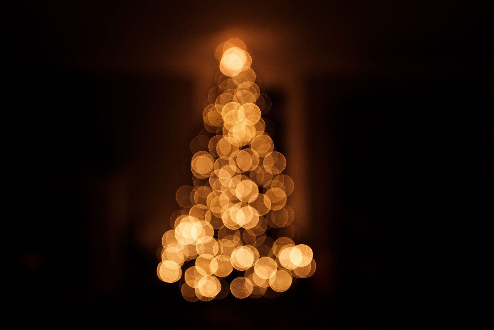 Dreamy Sights on a Dim Night