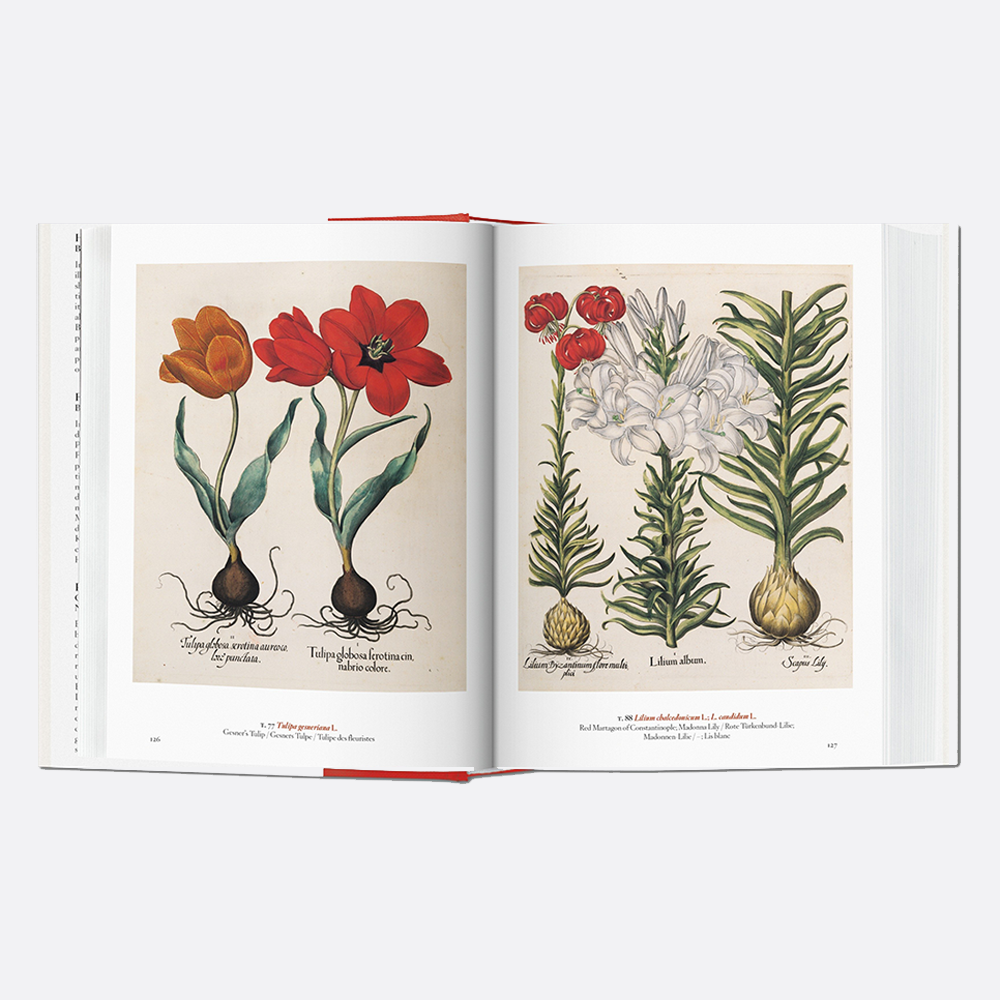 A Garden Eden. Masterpieces of Botanical Illustration. 40th Edition - Secret Location