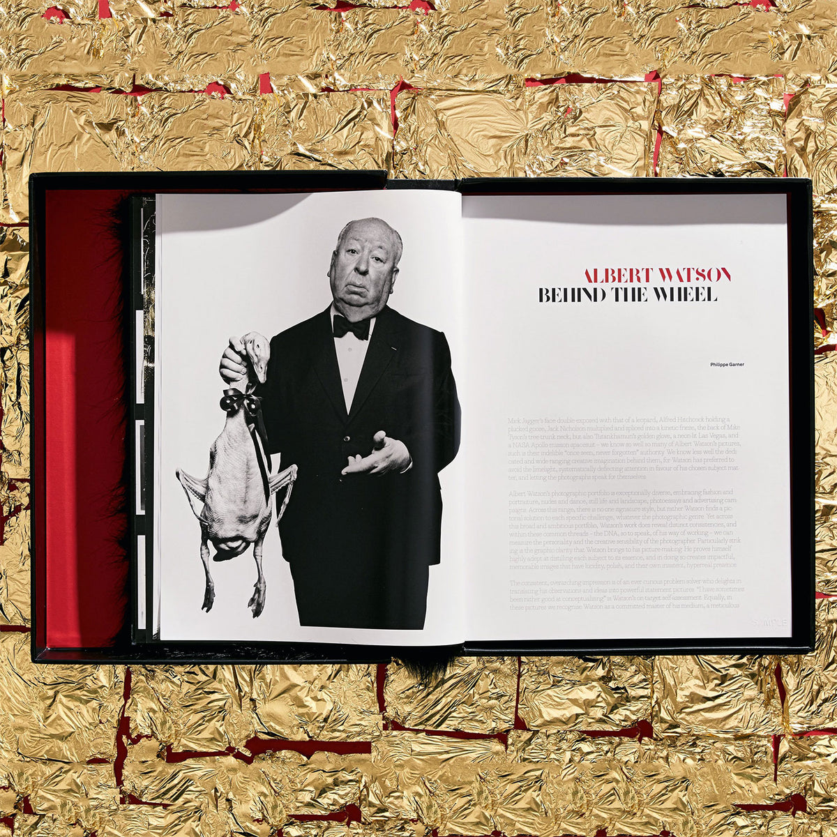 albert-waston-kaos-taschen-literature