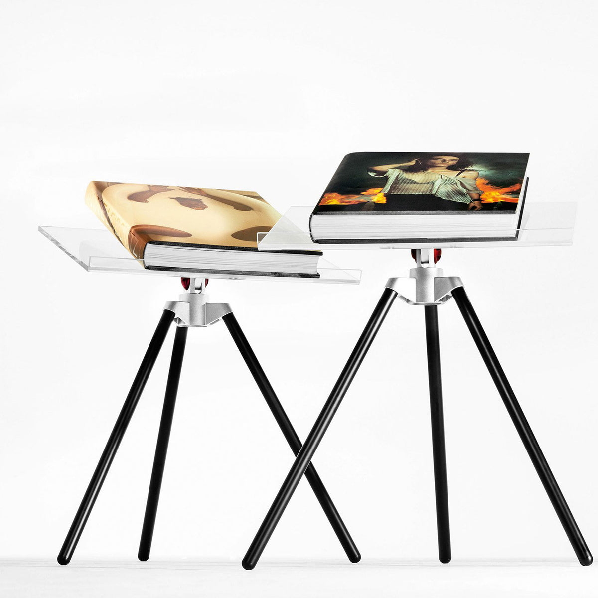 Annie Leibovitz. Art Edition