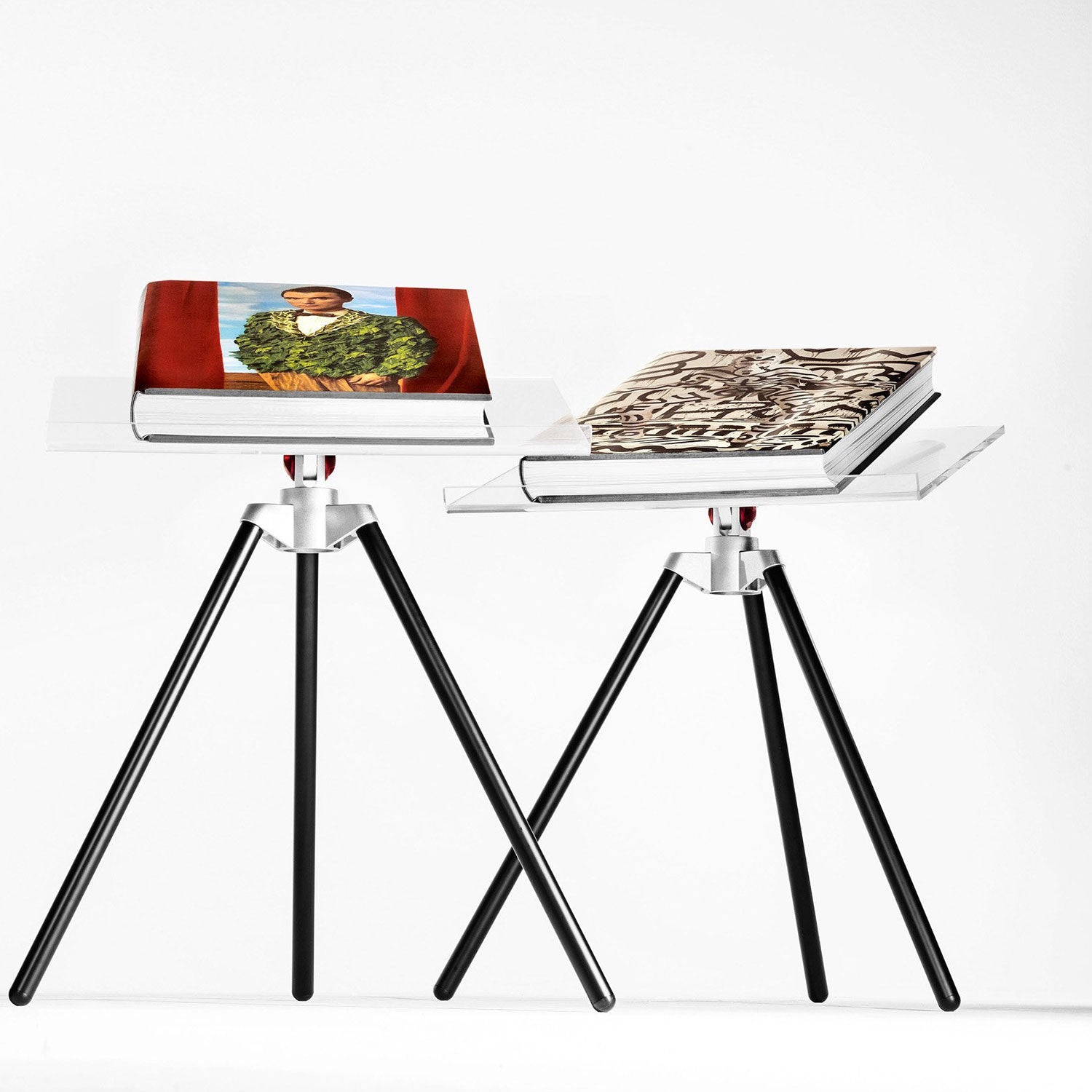 Annie Leibovitz. Art Edition