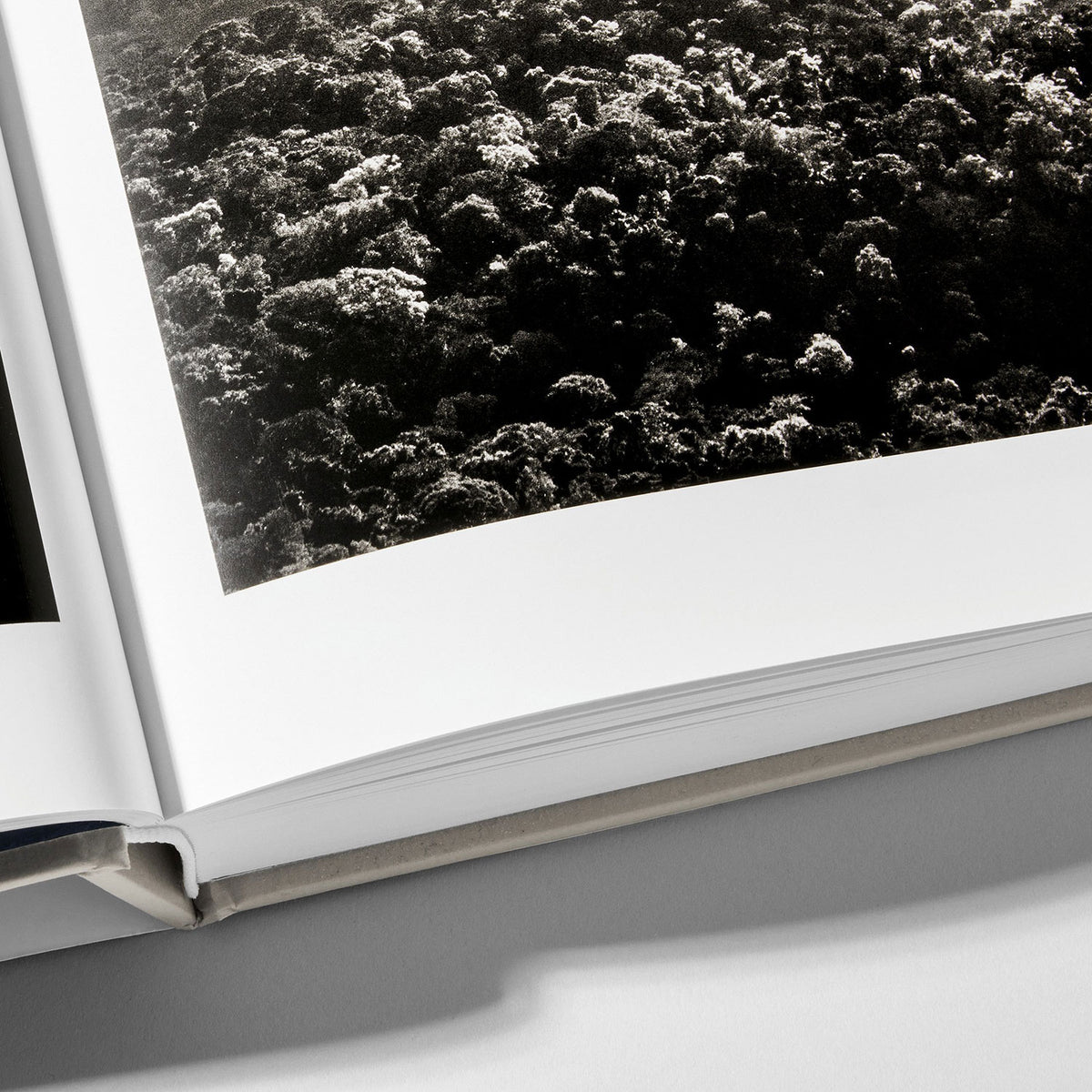 Sebastião Salgado. Amazônia