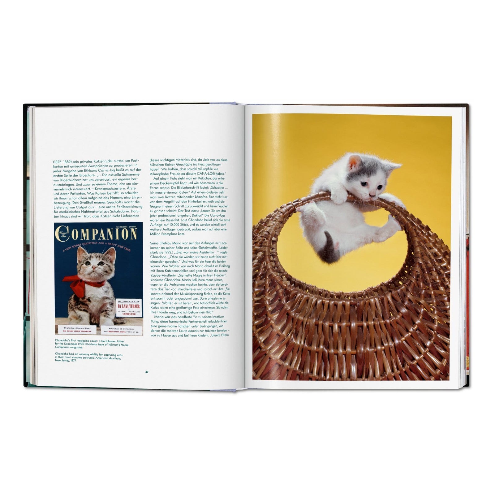 Walter Chandoha. Cats. Photographs 1942-2018 - Secret Location